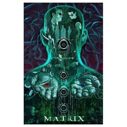 The Matrix Art Print 41 x 61 cm - keretezetlen vászonkép termékfotója