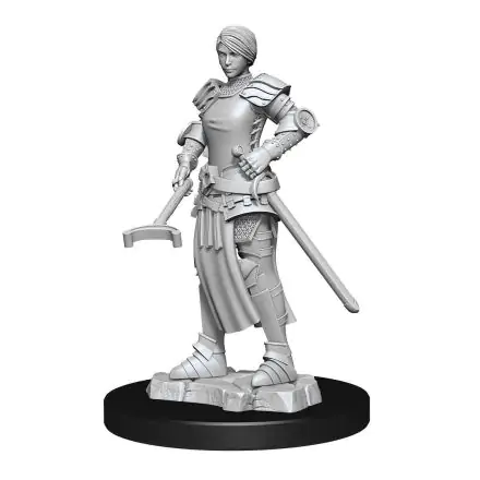 WizKids Deep Cuts Unpainted Miniatures Towns People: Castle - Castle 2 termékfotó