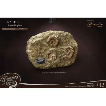 Wonders of the Wild Series 1/1 Nautilus Miniature Frame & Fossil szobor figura 15 cm termékfotó