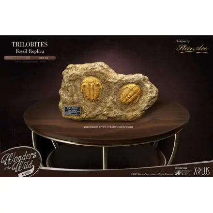 Wonders of the Wild Series 1/1 Trilobites Miniature Frame & Fossil szobor figura 15 cm termékfotó