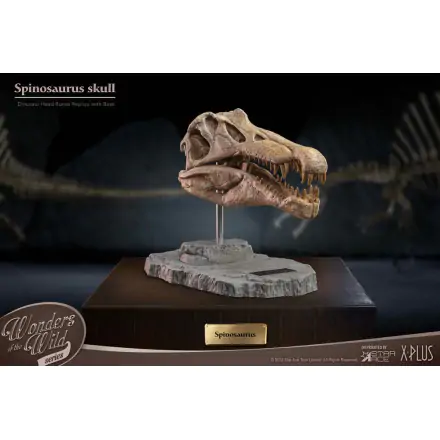 Wonders of the Wild Series Spinosaurus Head Skull szobor figura 30 cm termékfotó