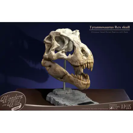 Wonders of the Wild Series T-Rex Head Skull szobor figura 30 cm termékfotó