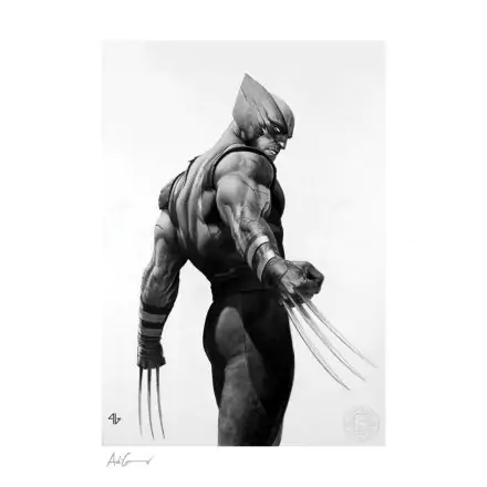 X-Men Art Print Wolverine Black & White Variant 46 x 61 cm termékfotó
